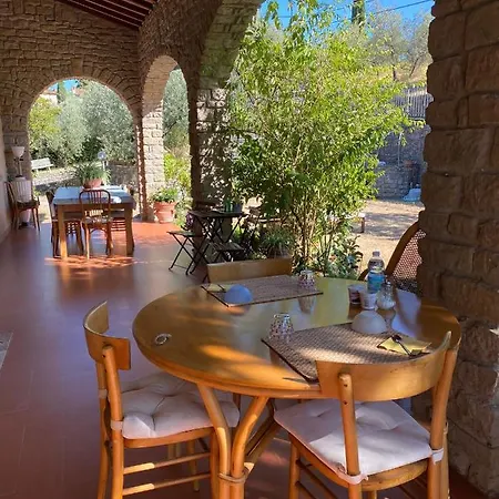 La Collina Degli Olivi *