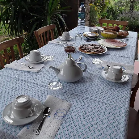 La Collina Degli Olivi * 까르미냐노