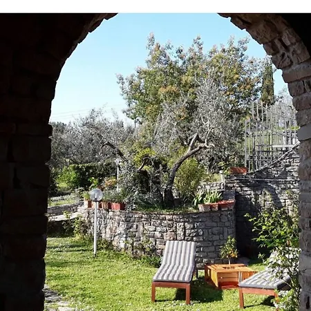 La Collina Degli Olivi *