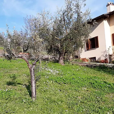 فندق مبيت وإفطار La Collina Degli Olivi *